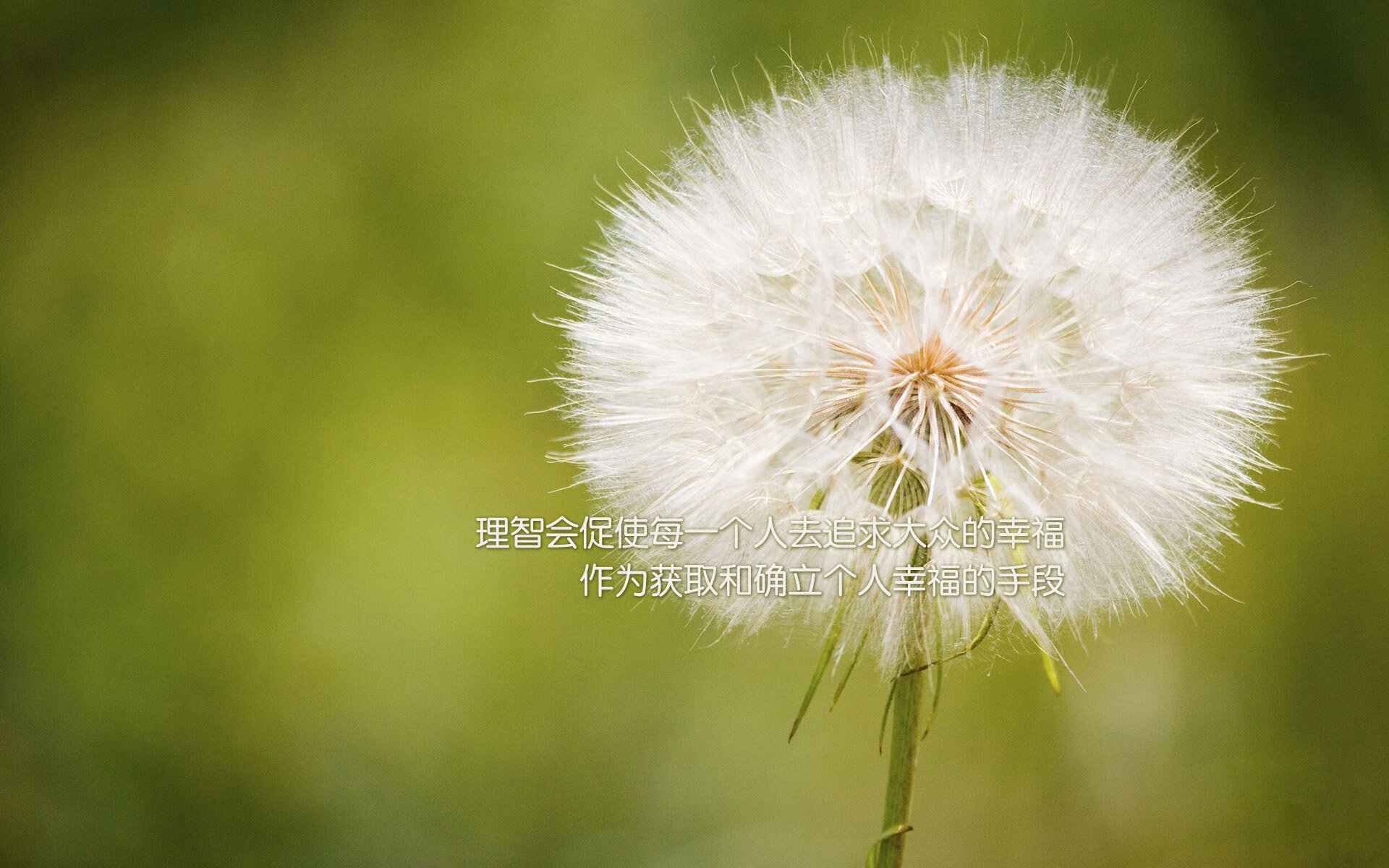 开云体育登录-芬兰铁骑凿穿银河战舰！佩德里年度封神之战，诺坎普新王加冕