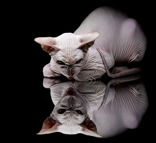 开云体育-弗拉霍维奇天神下凡！单节独造三球，尼斯如何一节比赛打懵摩洛哥？