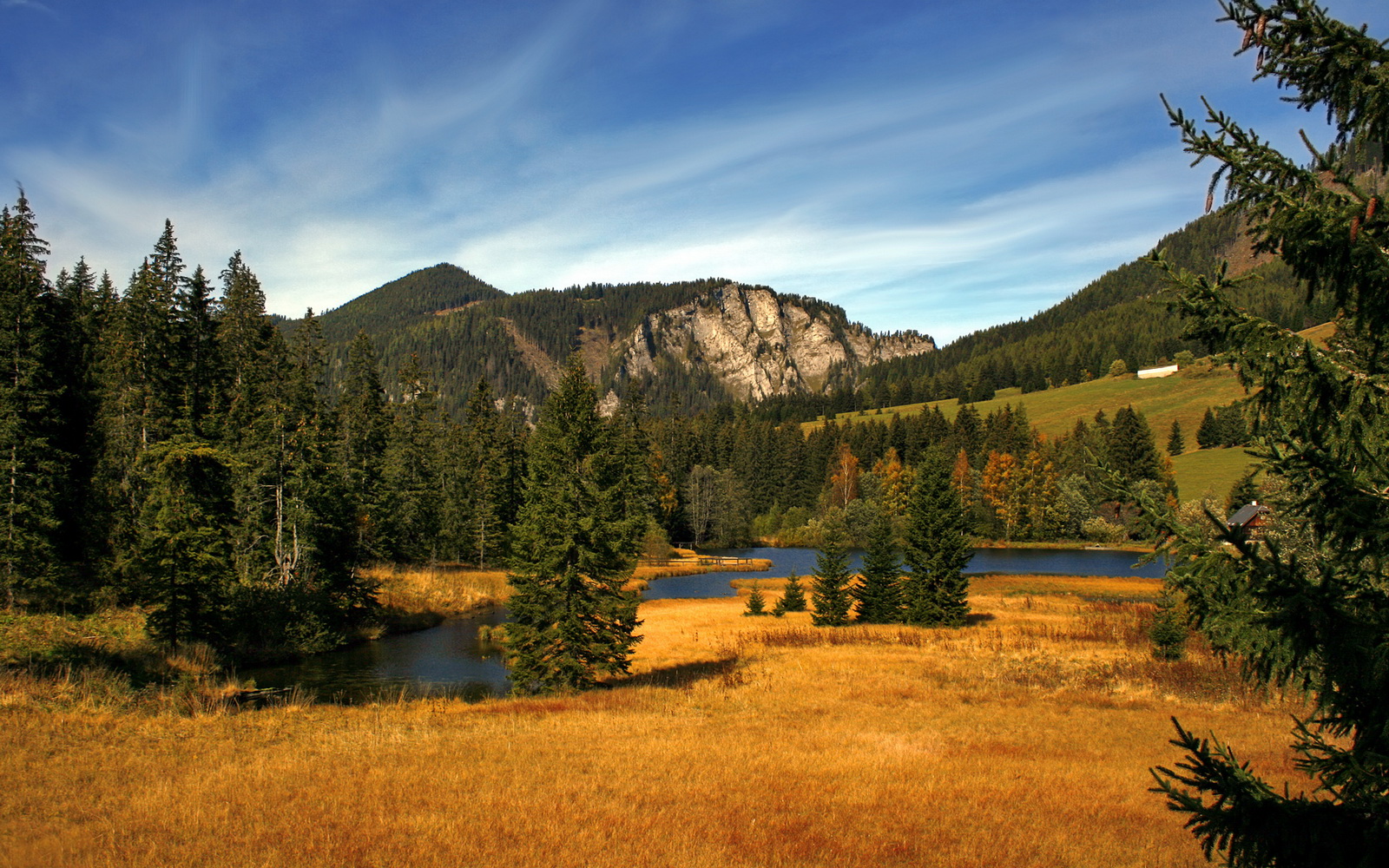 开云APP-中场铁闸的破壁时刻，当无名之辈凯塞多一脚踢碎韩国足球的傲慢