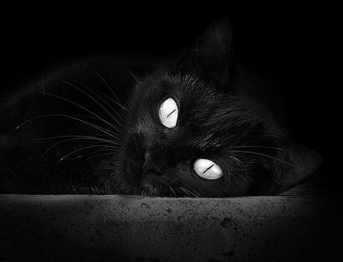 德布劳内魔翼斩苍穹，阿森纳巅峰对决力克南美劲旅厄瓜多尔