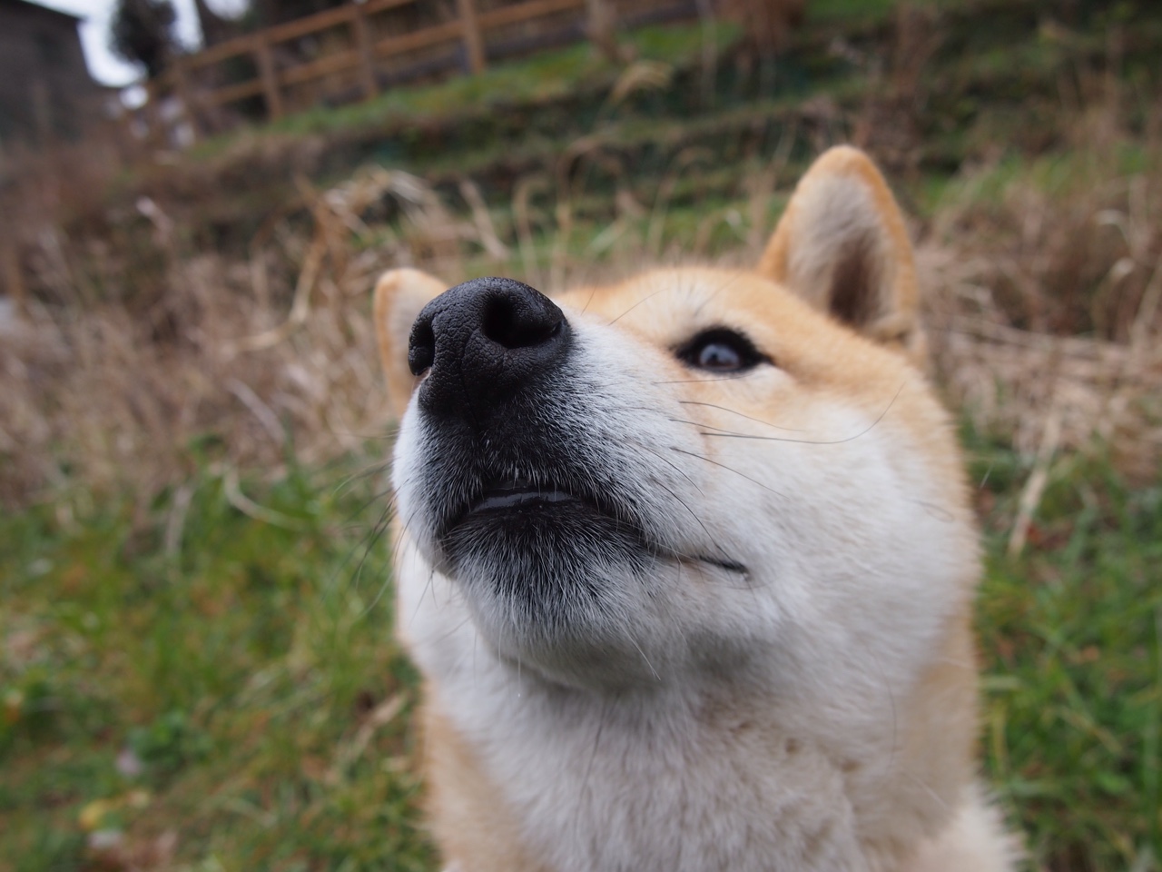 欧冠上演非典型英雄剧本!加纳硬汉阿克接管伯纳乌,皇马霸权遭黑色闪电击碎