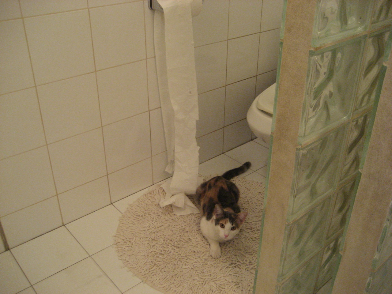 开云-深圳编织防守炼狱，克莱化身关键先生一剑封喉